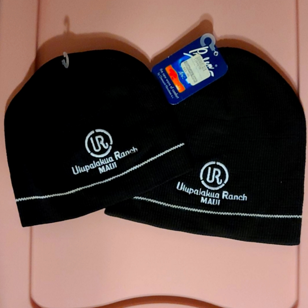 Pair of Knit skull cap beanies